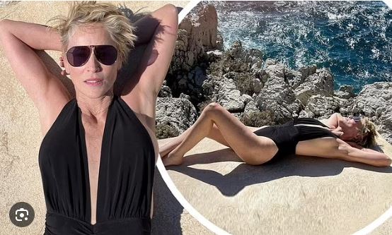 Sharon Stone, 63, shows off her very impressive figure in a plunging swimsuit