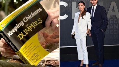 Victoria Beckham Snaps Husband David Reading Keeping Chickens for Dummies After Receiving a Full Coop
