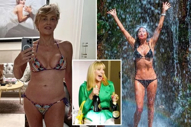 Sharon Stone fans beg actress, 64, to ‘never wear clothes again’ after bikini snap